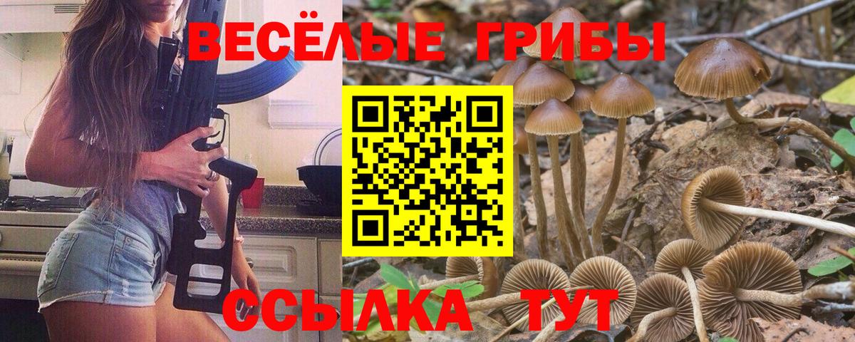 Галлюциногенные грибы мицелий Кушва