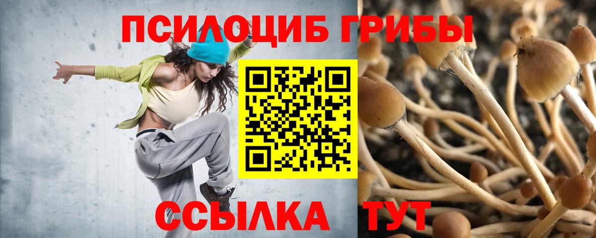Кушва  Галлюциногенные грибы GOLDEN TEACHER  Вход с VPN 